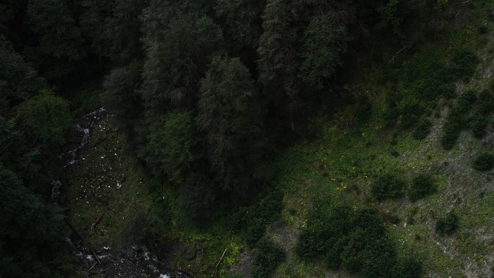 Dark aerial view of a narrow stream winding through dense evergreen forest at dusk